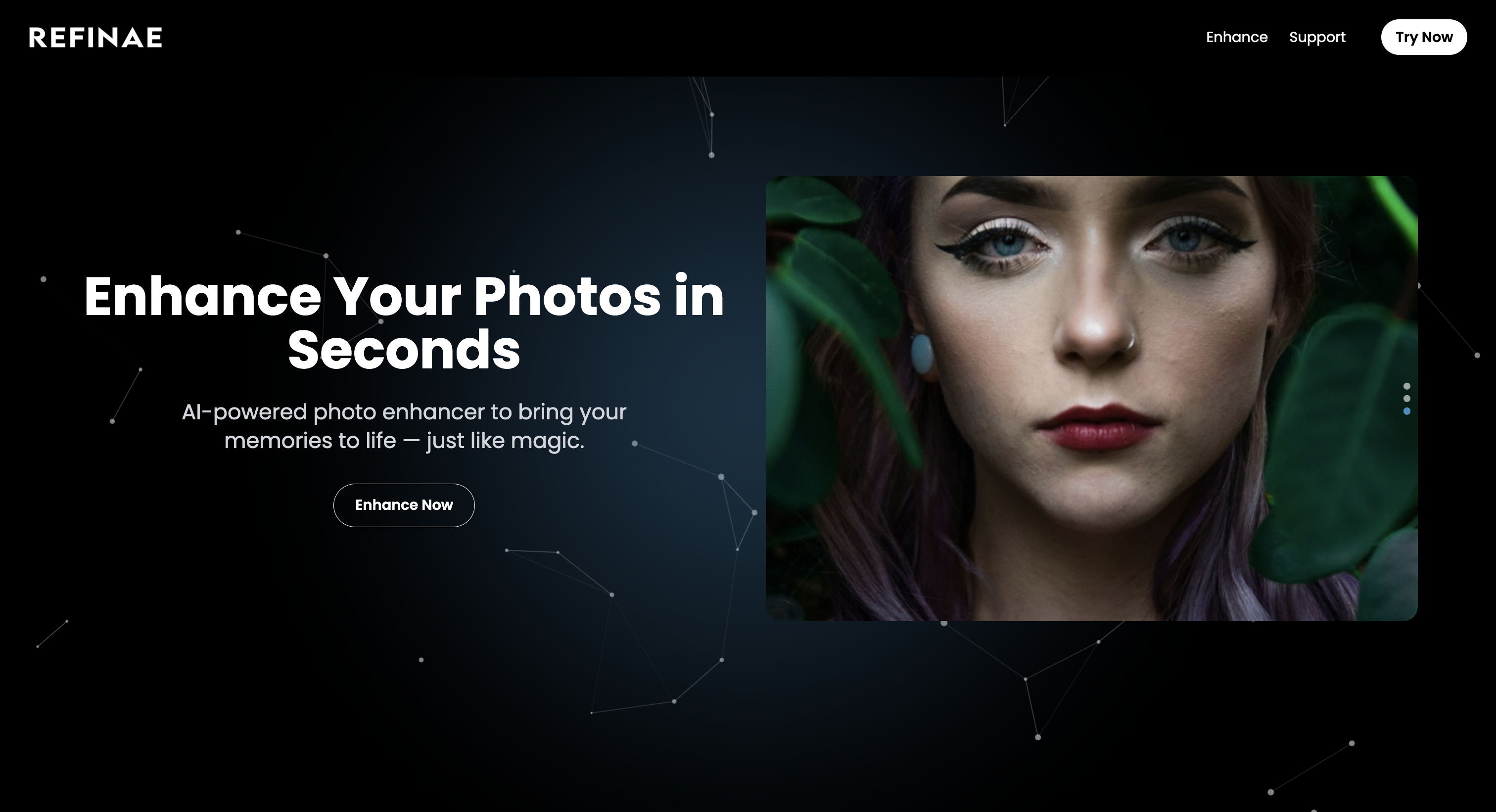 Refinae Interface